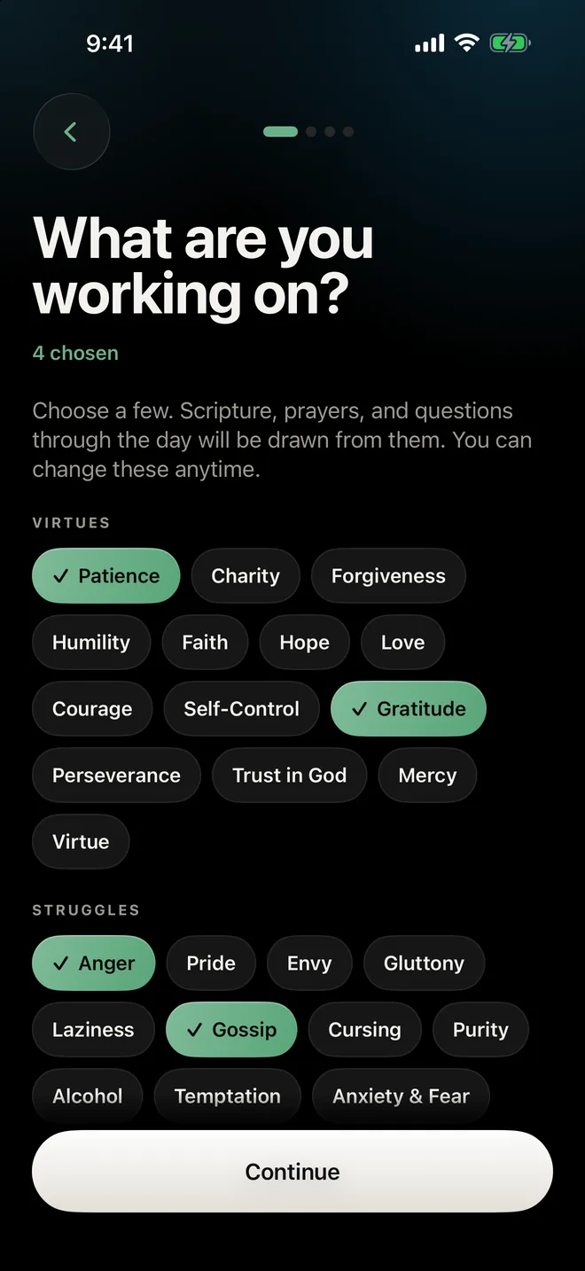 Choosing areas of growth: virtues and struggles, four chosen.